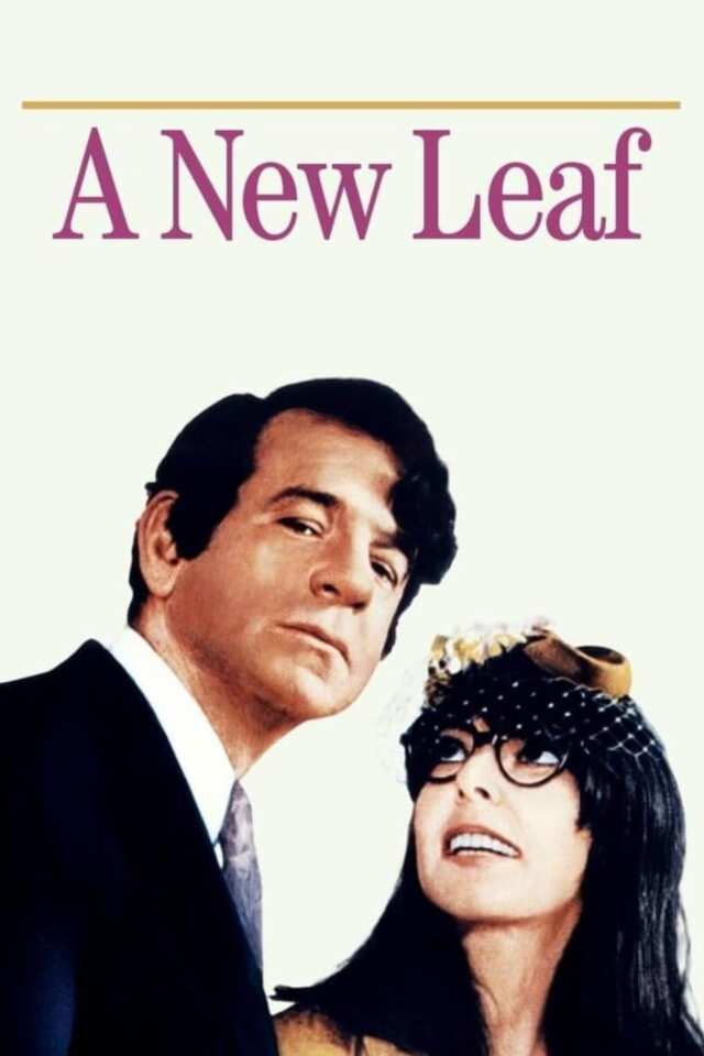 A New Leaf (1971) film Poster