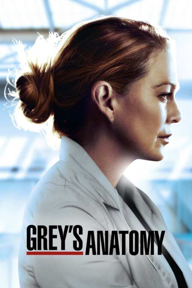 Grey's Anatomy: 206: Into You Like a Train (2005) series Poster