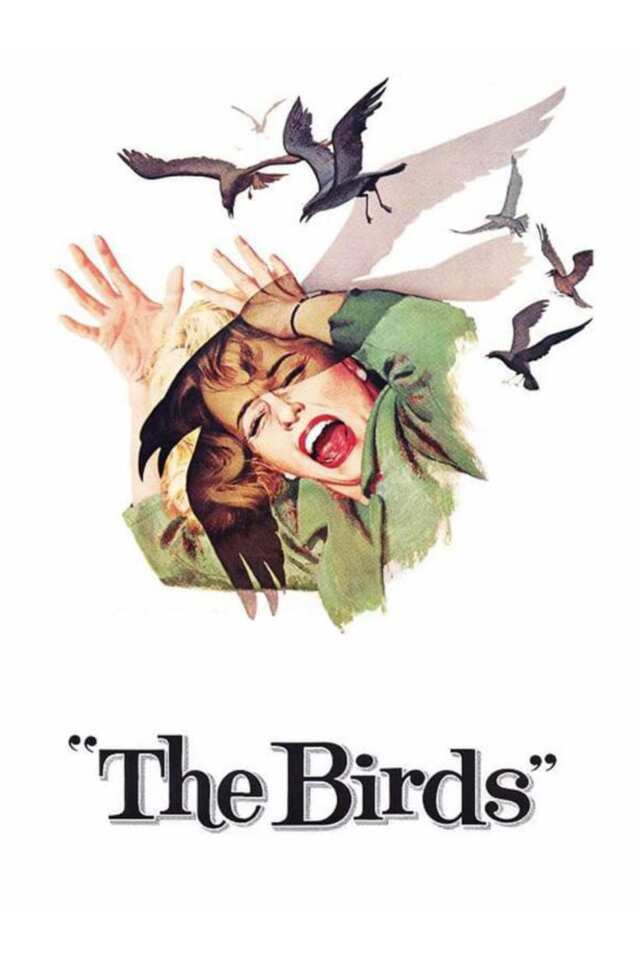 The Birds (1963) film Poster