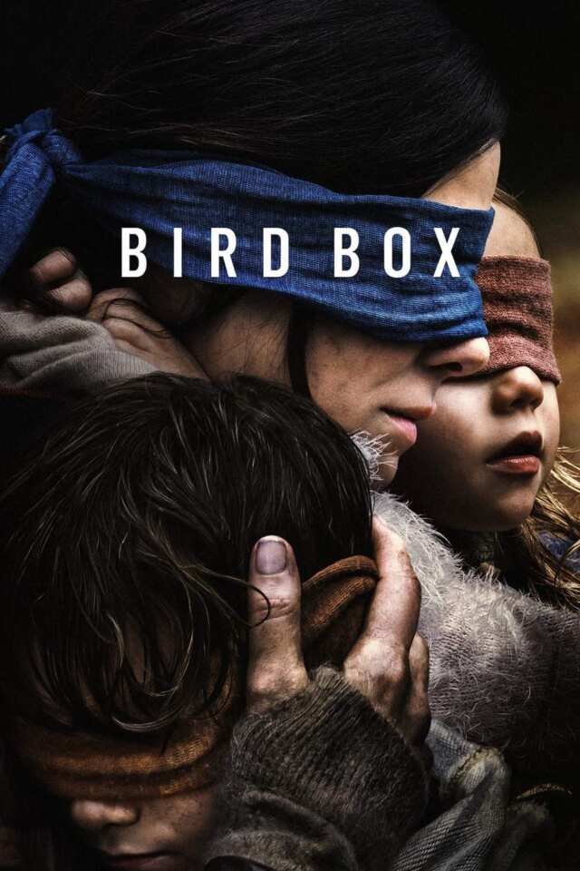 Bird Box (2018) film Poster
