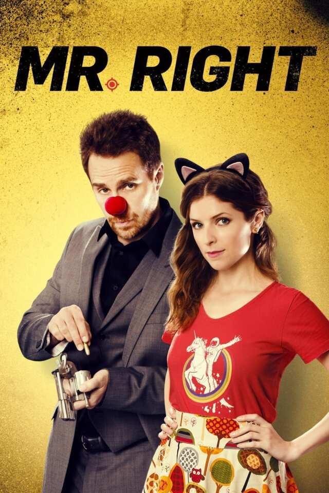 Mr. Right (2015) film Poster