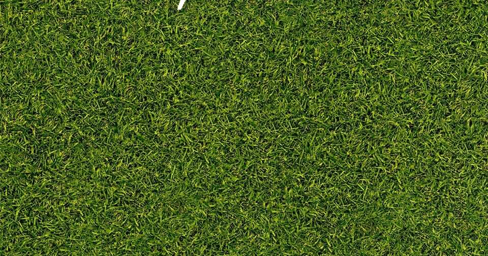 Boyhood 2014 Script Slug